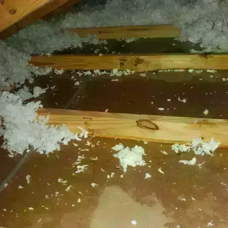 Attic Water Damage in Littleton, CO