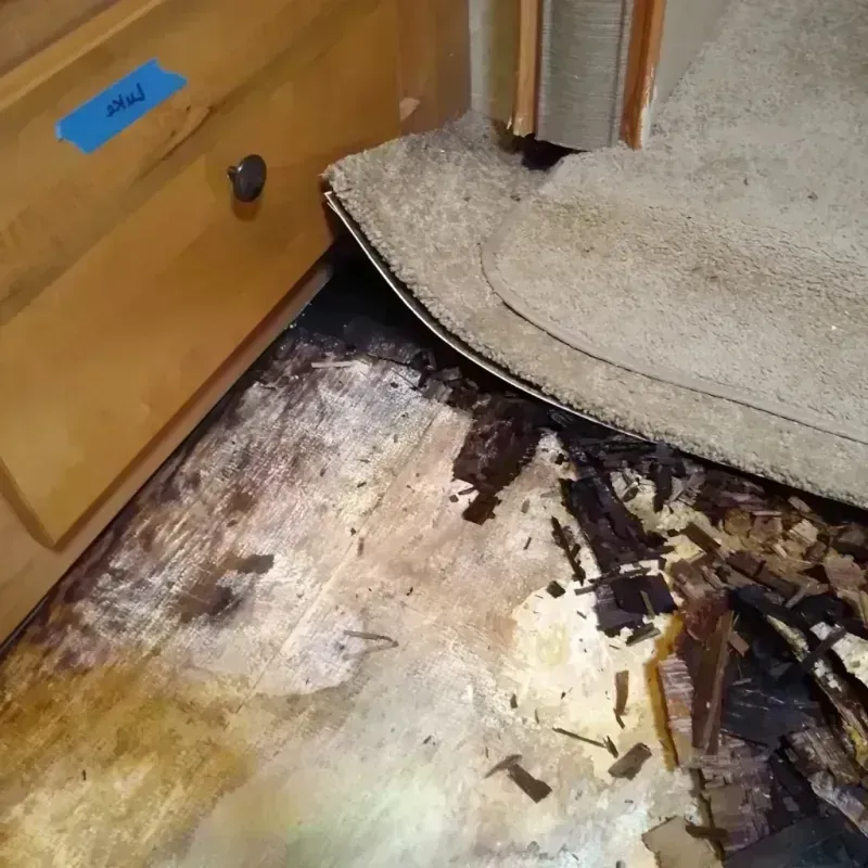 Best Wood Floor Water Damage Service in Littleton, CO